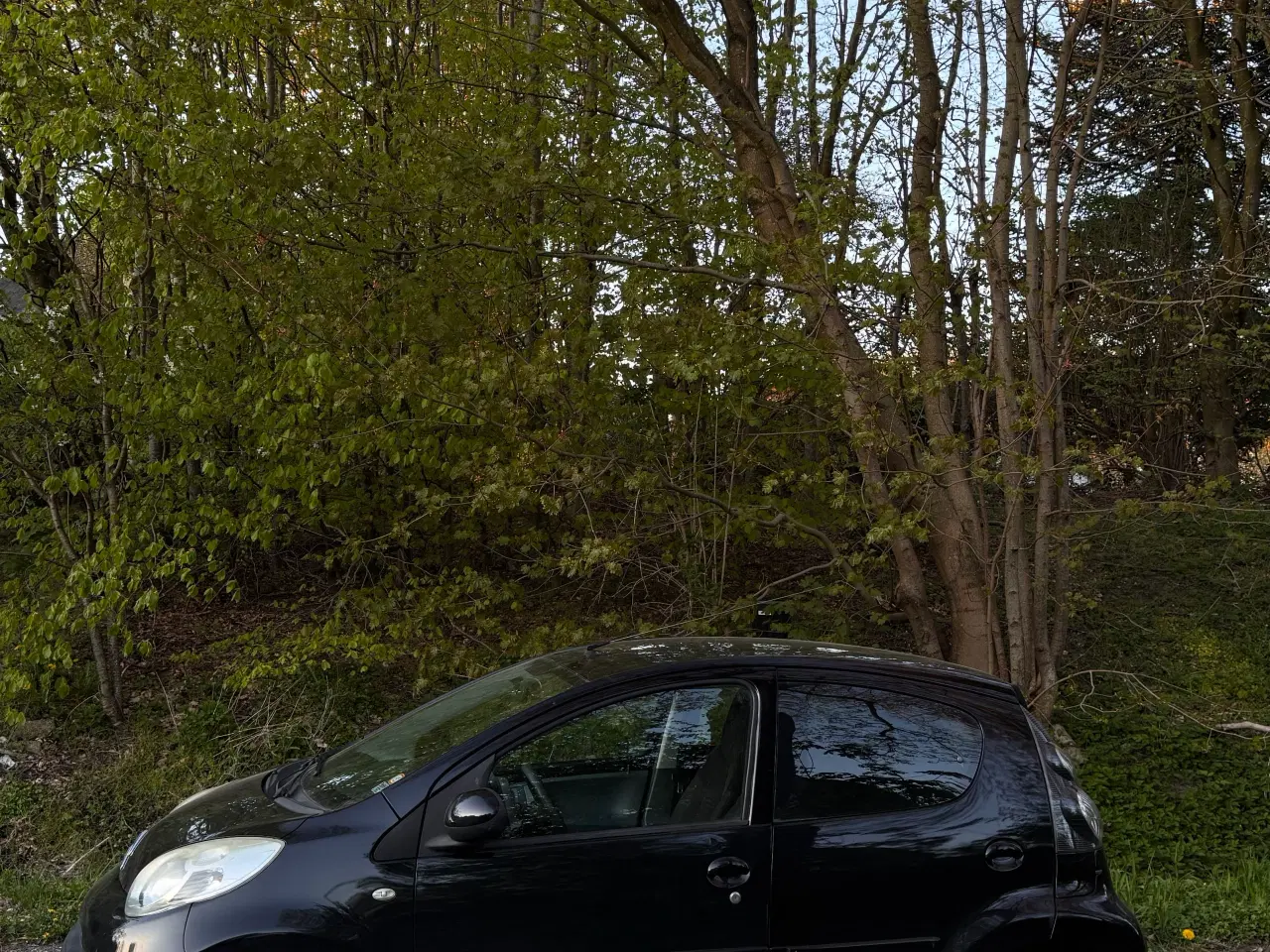 Billede 3 - 2008 Citroën C1