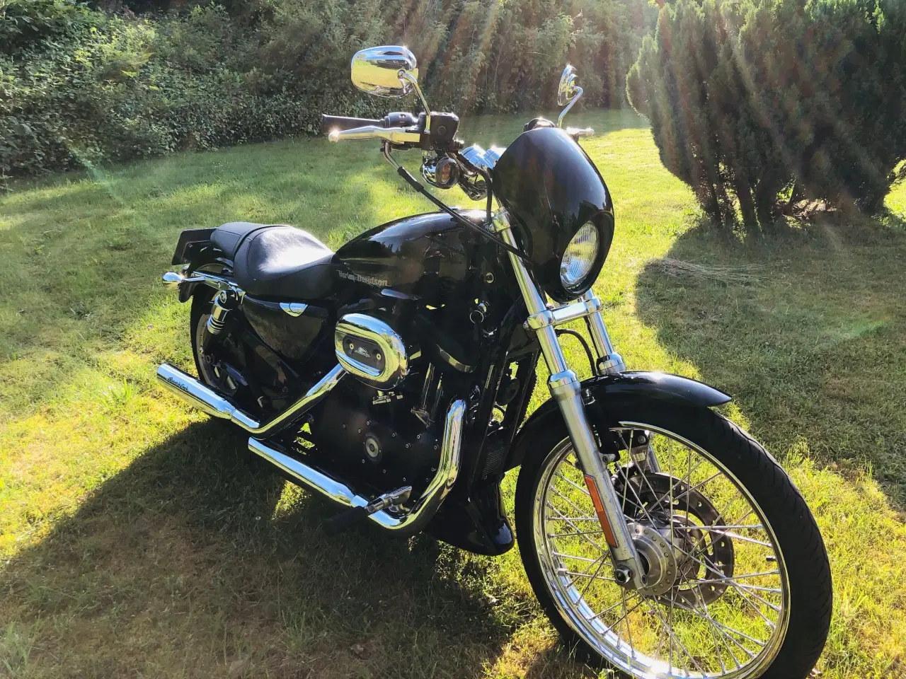 Billede 1 - Harley Davidson Sportster 883 Custom 