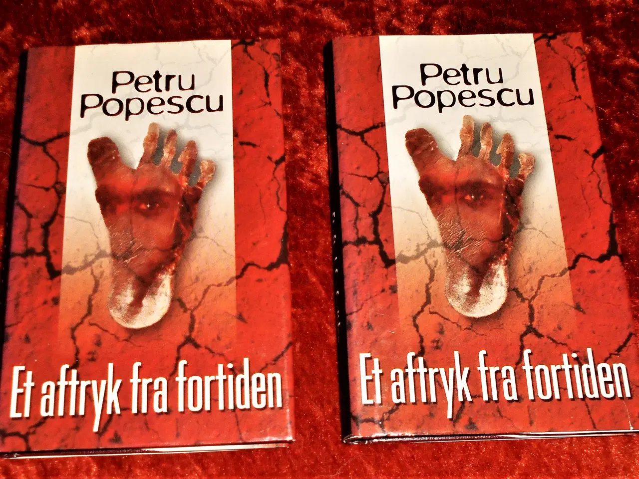 Billede 1 - Et aftryk fra fortiden bind 1 & 2, Petru Popescu,
