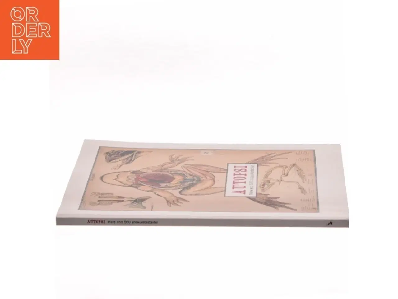 Billede 2 - Autopsi af Kristina Ask (Bog)