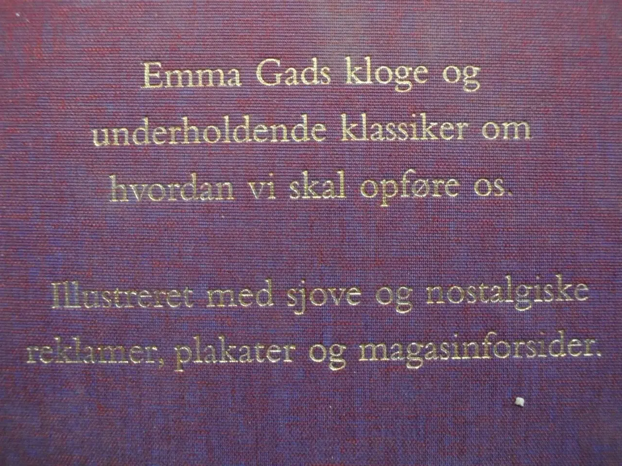 Billede 4 - takt og tone - hvordan vi omgås, af emma gad, emne