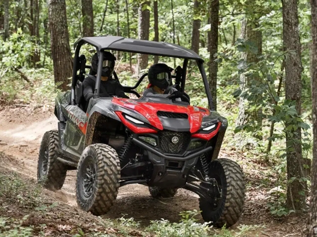 Billede 3 - Yamaha Wolverine RMAX2 1000