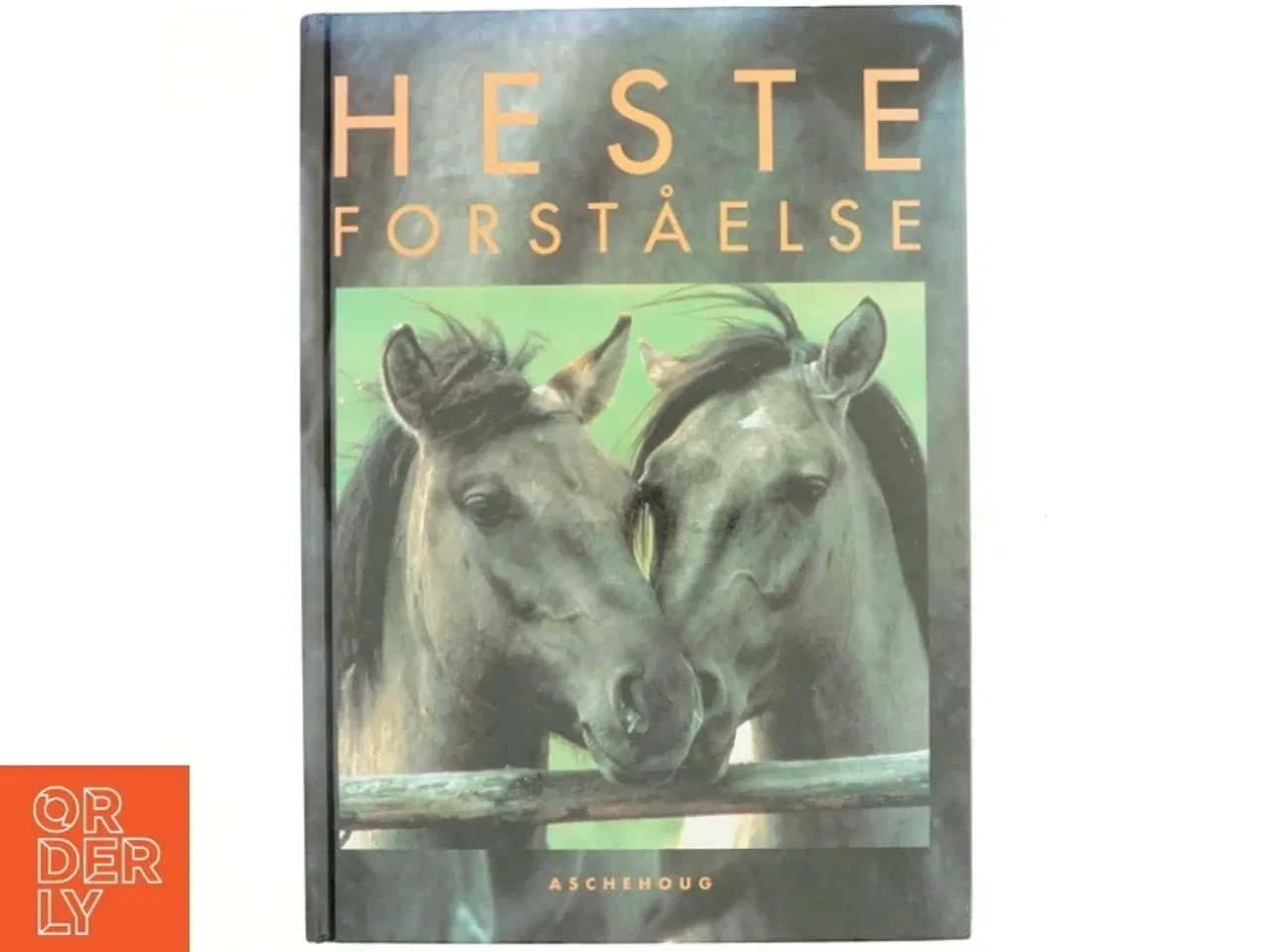 Billede 1 - Hesteforståelse (Bog)