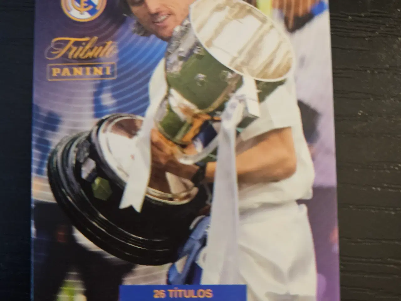 Billede 11 - Real Madrid Tribute