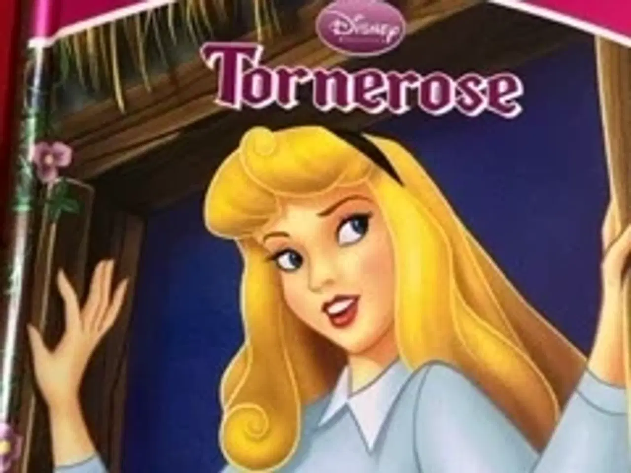 Billede 8 - Disney Prinssesse bøger 13 stk.