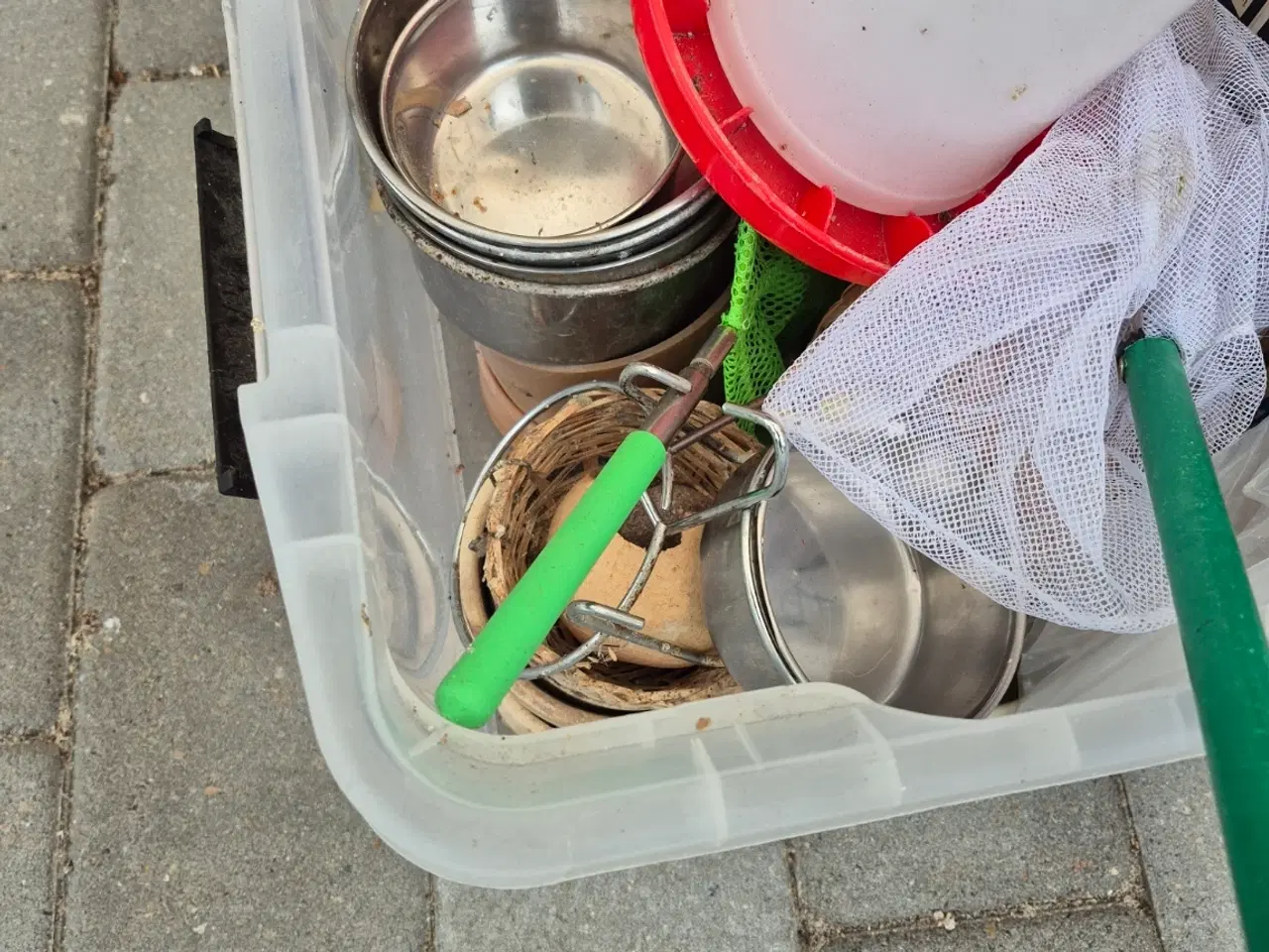 Billede 6 - Randers Voliere