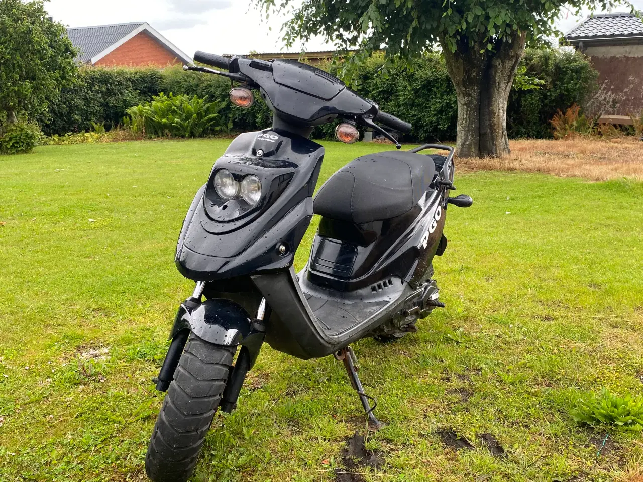 Billede 1 - Pgo hot 50 