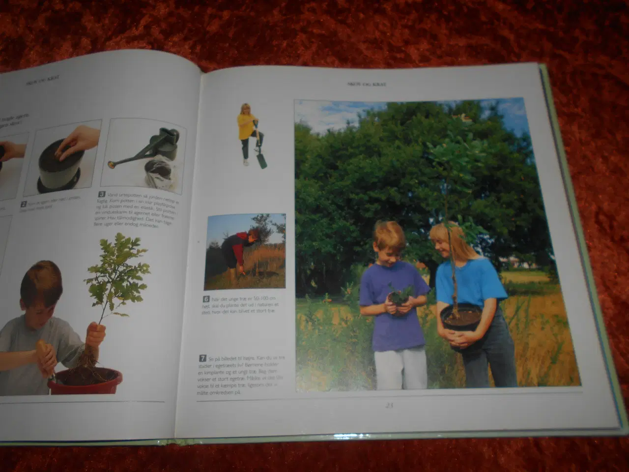 Billede 2 - 50 natur aktiviteter, Cecilia Fitzsimons,