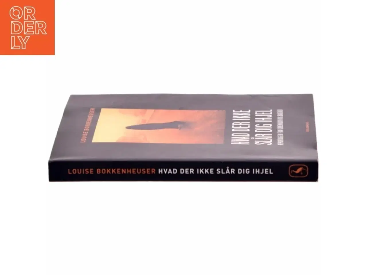Billede 2 - Hvad der ikke slår dig ihjel : reportager fra København og Bagdad af Louise Bokkenheuser (f. 1973) (Bog)