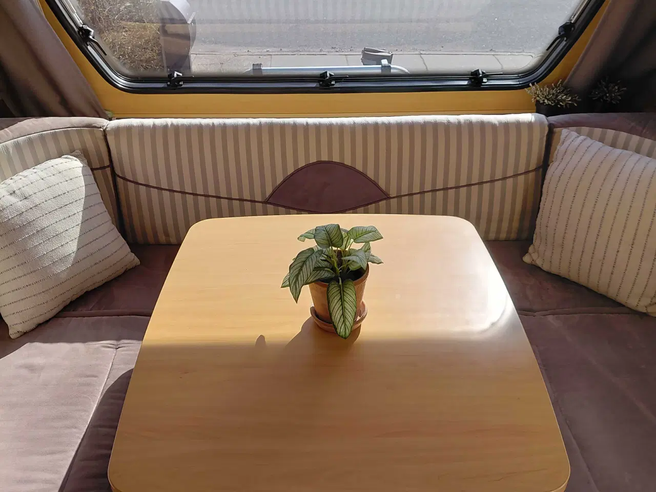 Billede 6 - Dethleffs campingvogn 