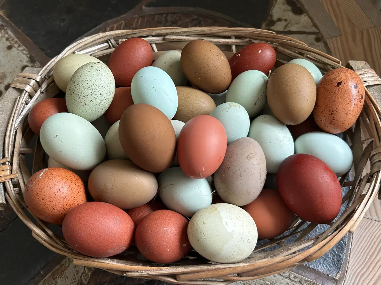 Billede 14 - Rugeæg I Gode Farver