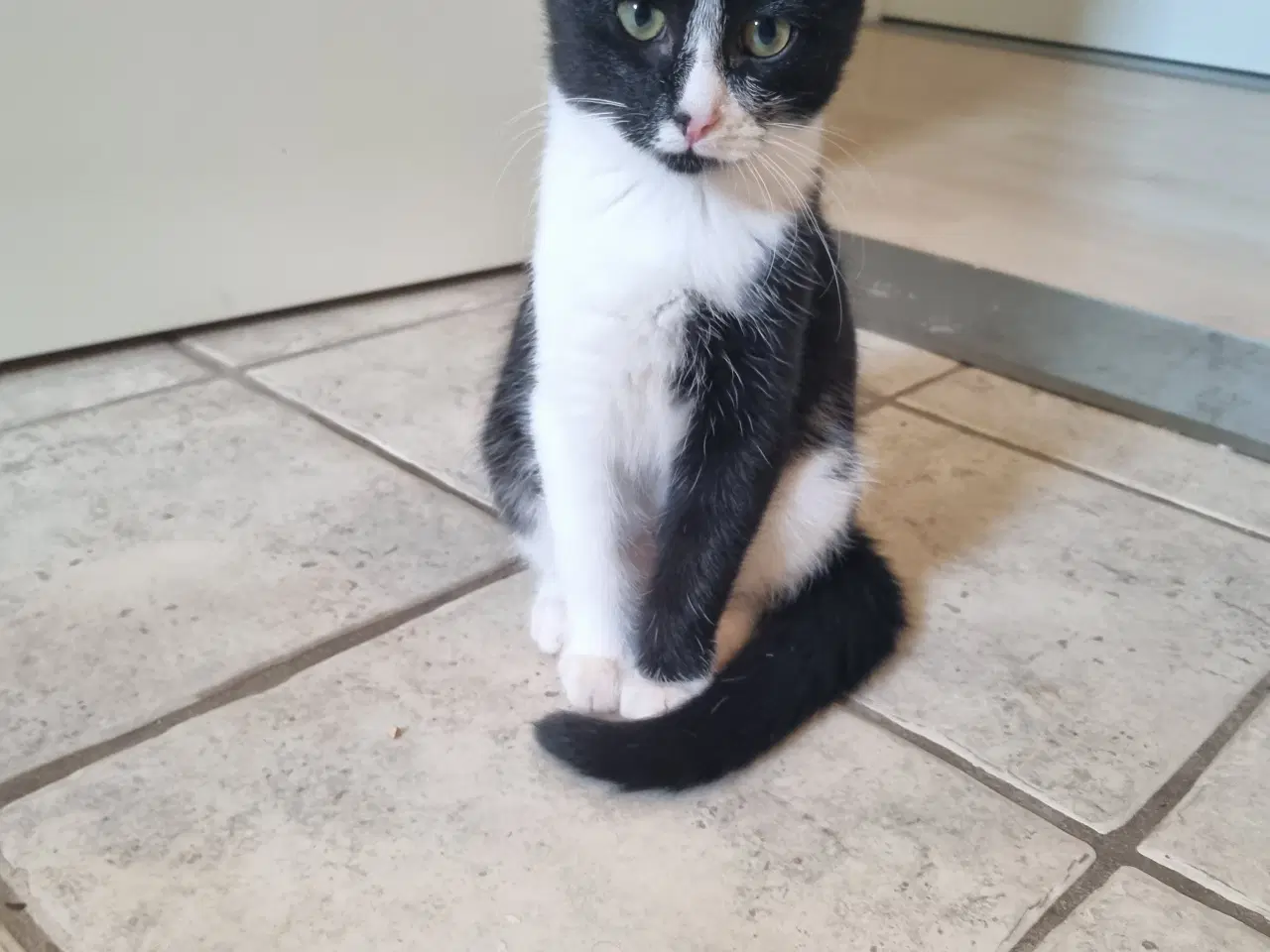 Billede 1 - Sødeste Cruella 