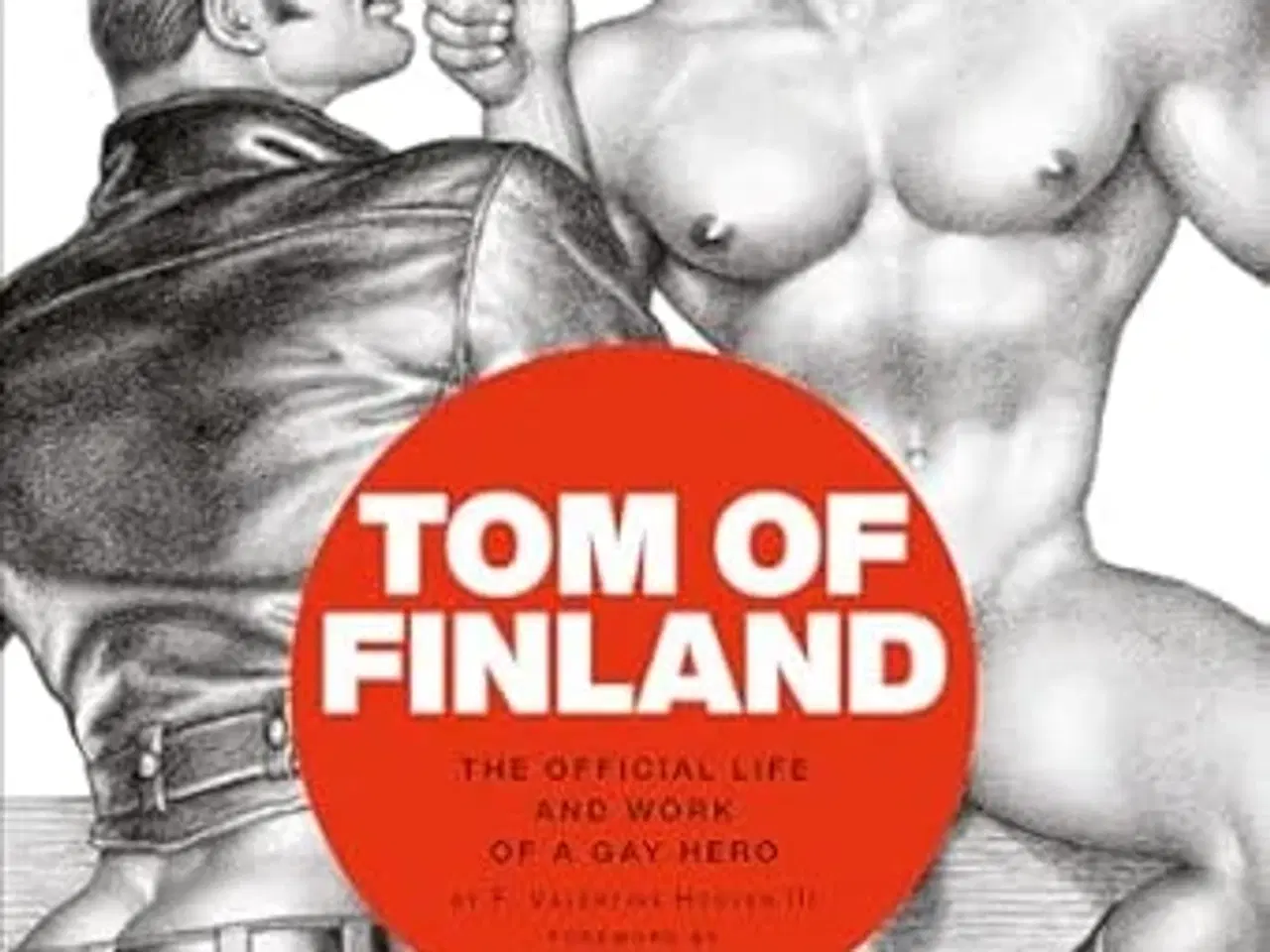 Billede 1 - Søger Tom of Finland lign Når Bytte med andre film