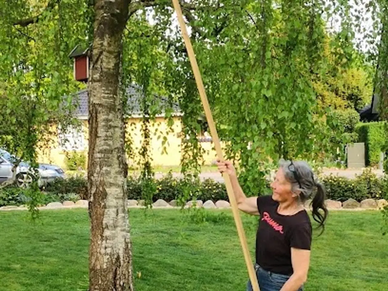 Billede 1 - Sværmfanger på lang skaft