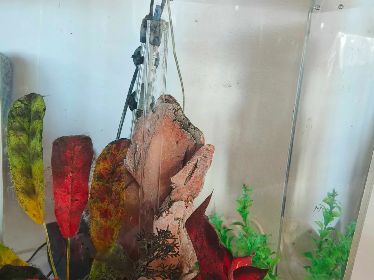 Billede 2 - Biorb akvarium 60 L. Gennemsigt