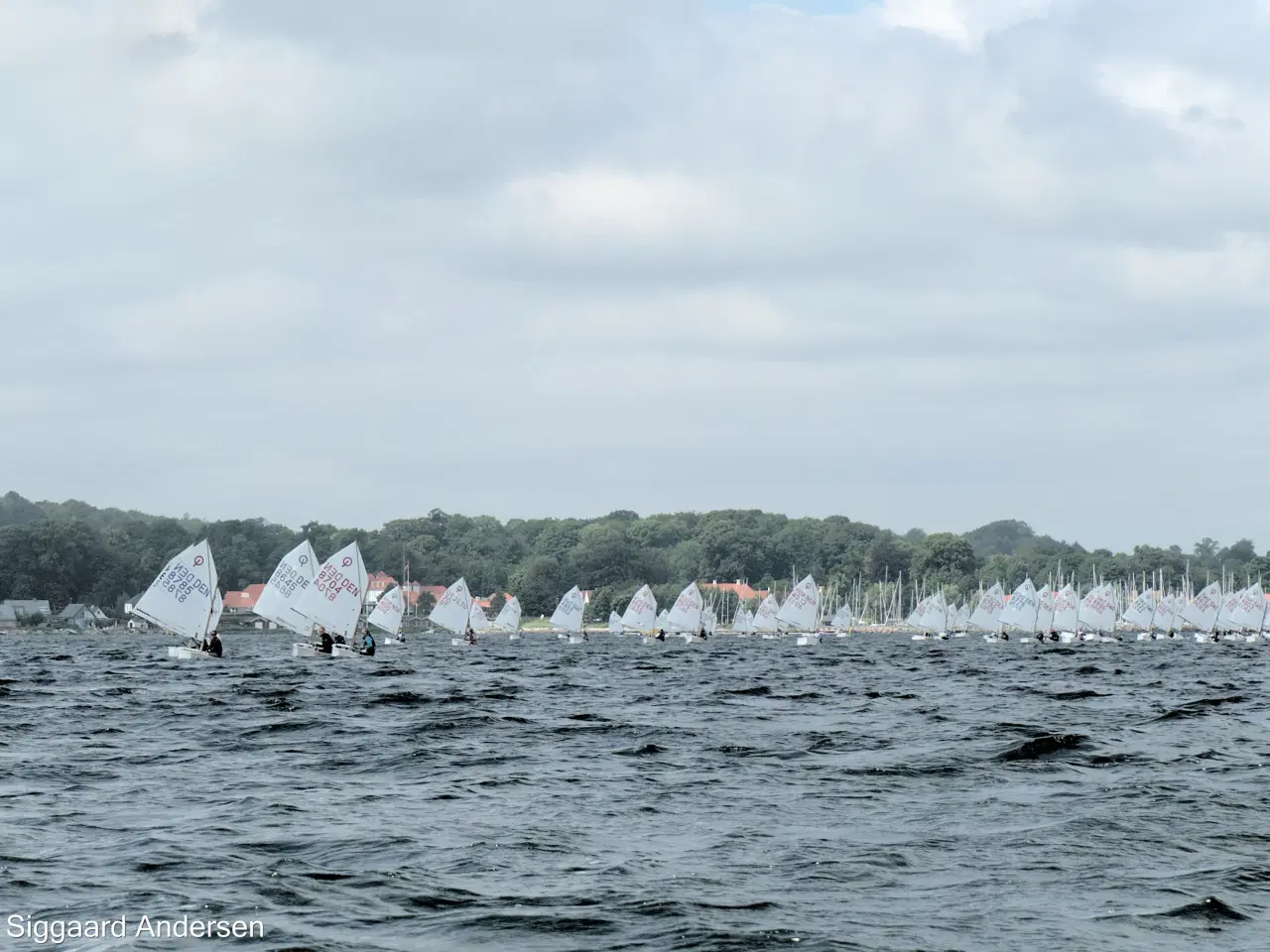 Billede 4 - 2024 Winner Optimistjolle DEN 8785 DenMark 3D STAR