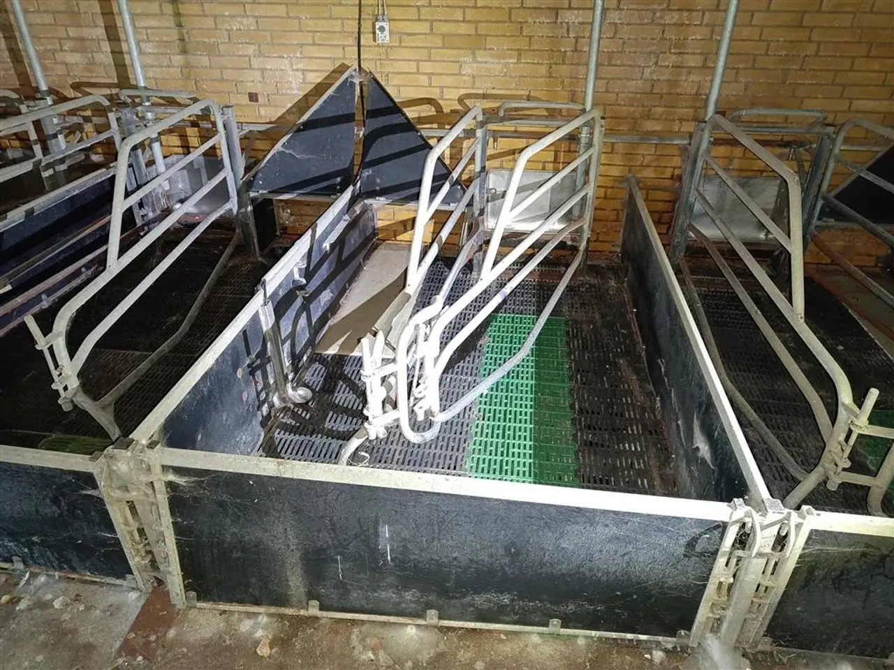 Billede 1 - - - - Sdr Vissing Farestier 36 stk.