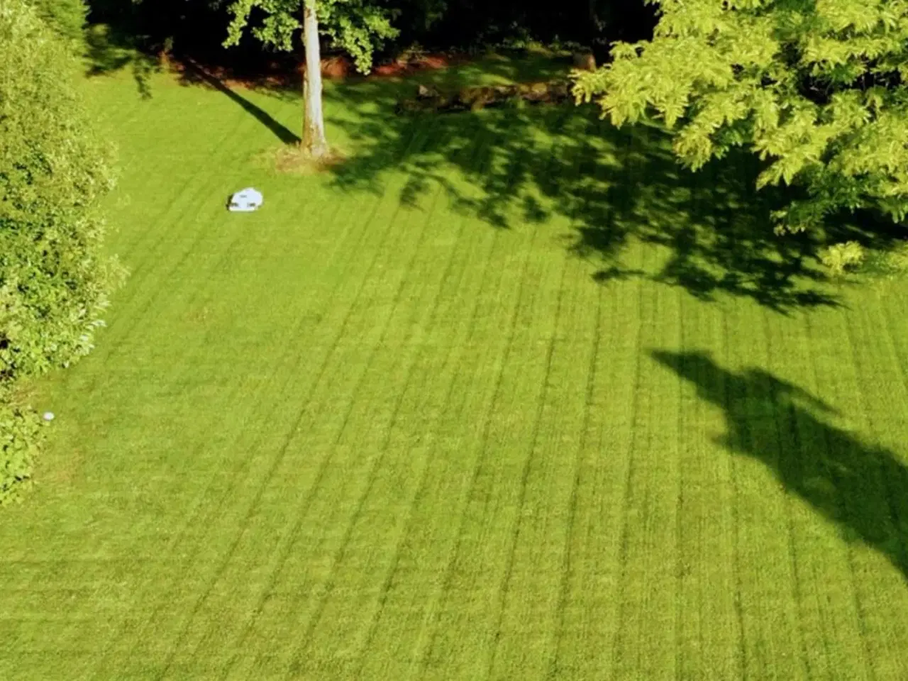 Billede 17 - Luba 2 AWD 10000X RTK