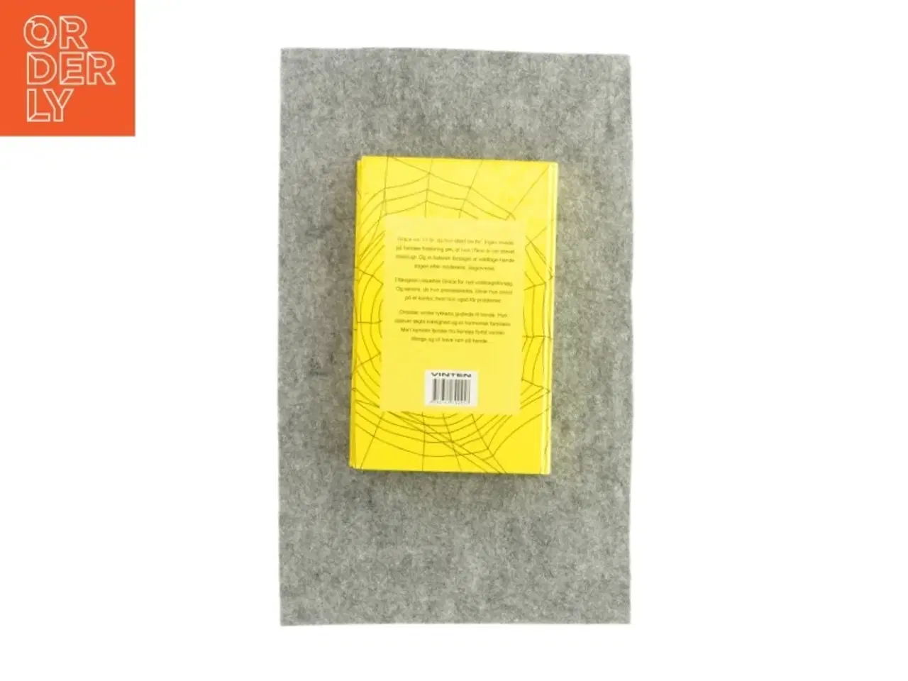 Billede 2 - Udnyttet af Danielle Steel (bog)