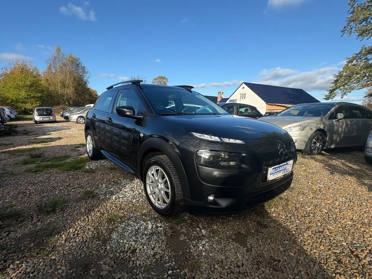 Billede 9 - Citroën C4 Cactus 1,6 e-HDi 92 Shine ETG6