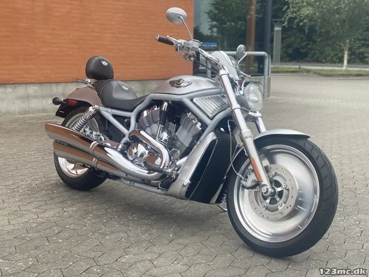 Billede 5 - Harley-Davidson VRSCA V-Rod