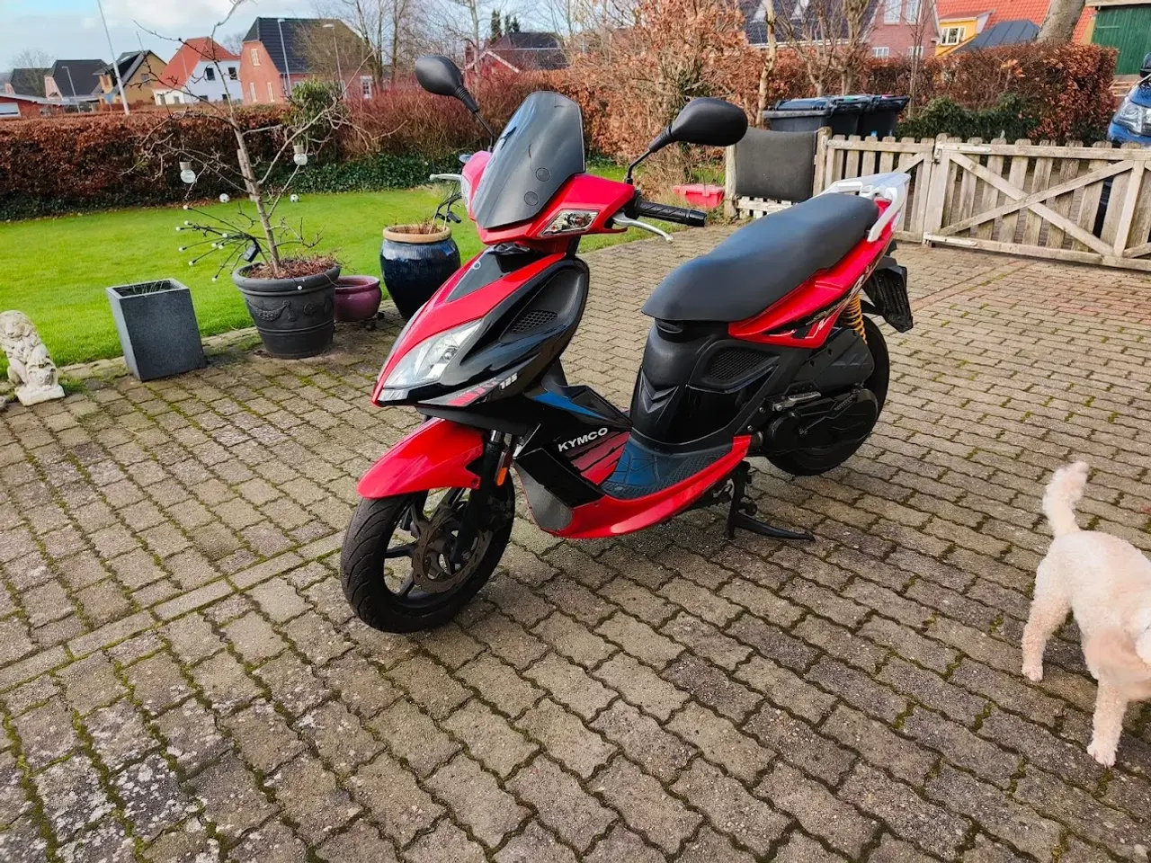 Billede 1 - Kymco 125 -  Mc scooter