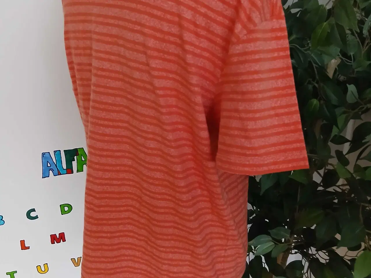 Billede 5 - T-shirt. Lindbergh. XL