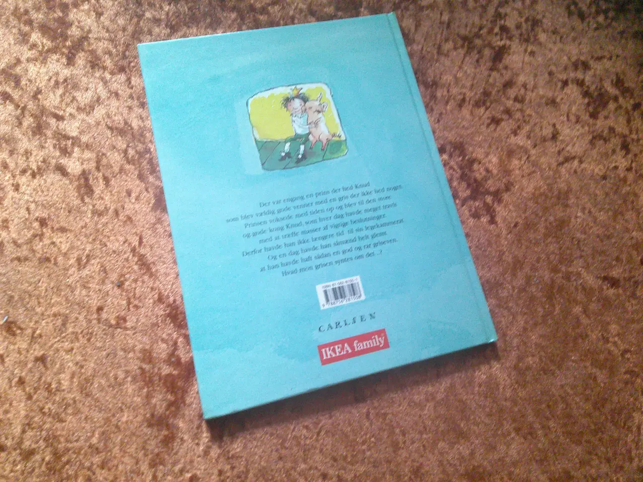 Billede 4 - Grisens hus, Thorstein Thomsen,