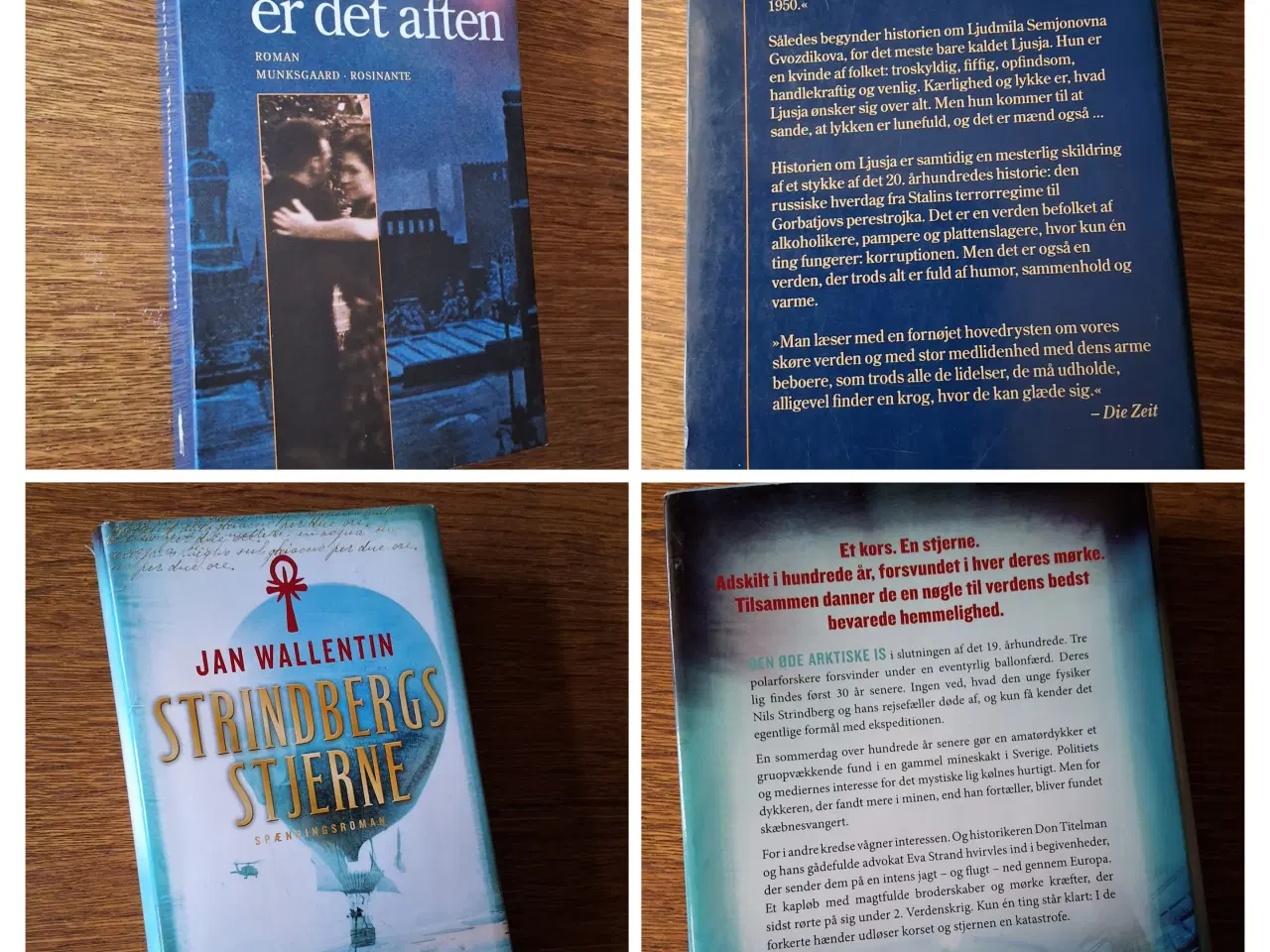 Billede 17 - BogUDsalg  5kr/stk. Samlet køb kan sendes. 