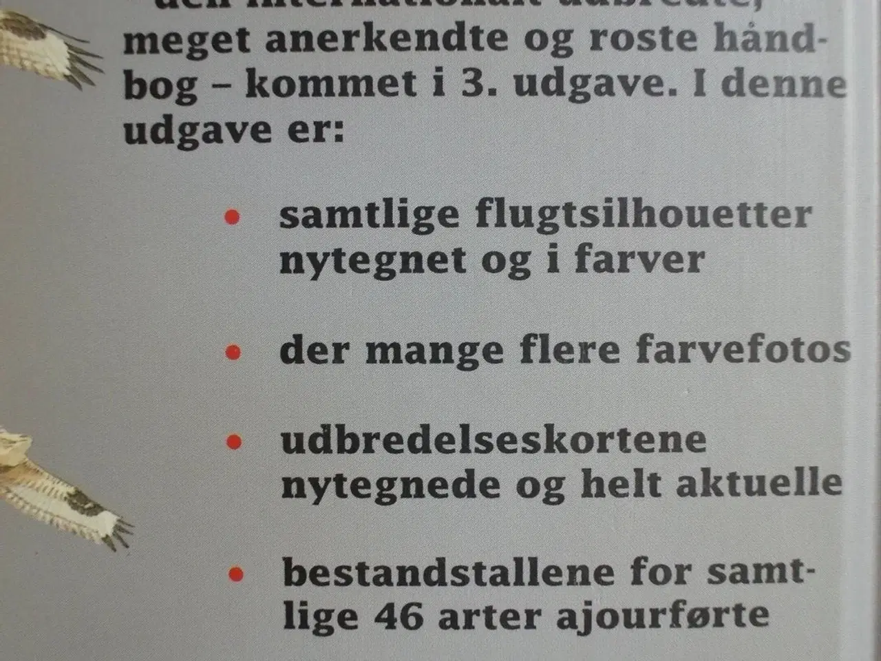 Billede 4 - rovfuglene i europa, nordafrika og mellemøsten, af