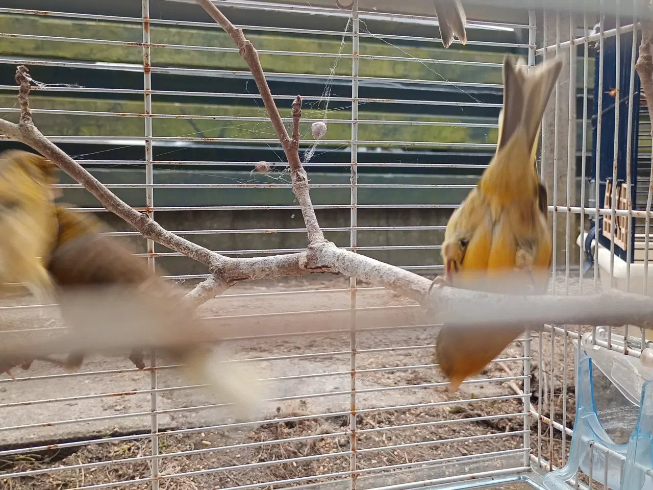 Billede 2 - Blandet farver/kobber