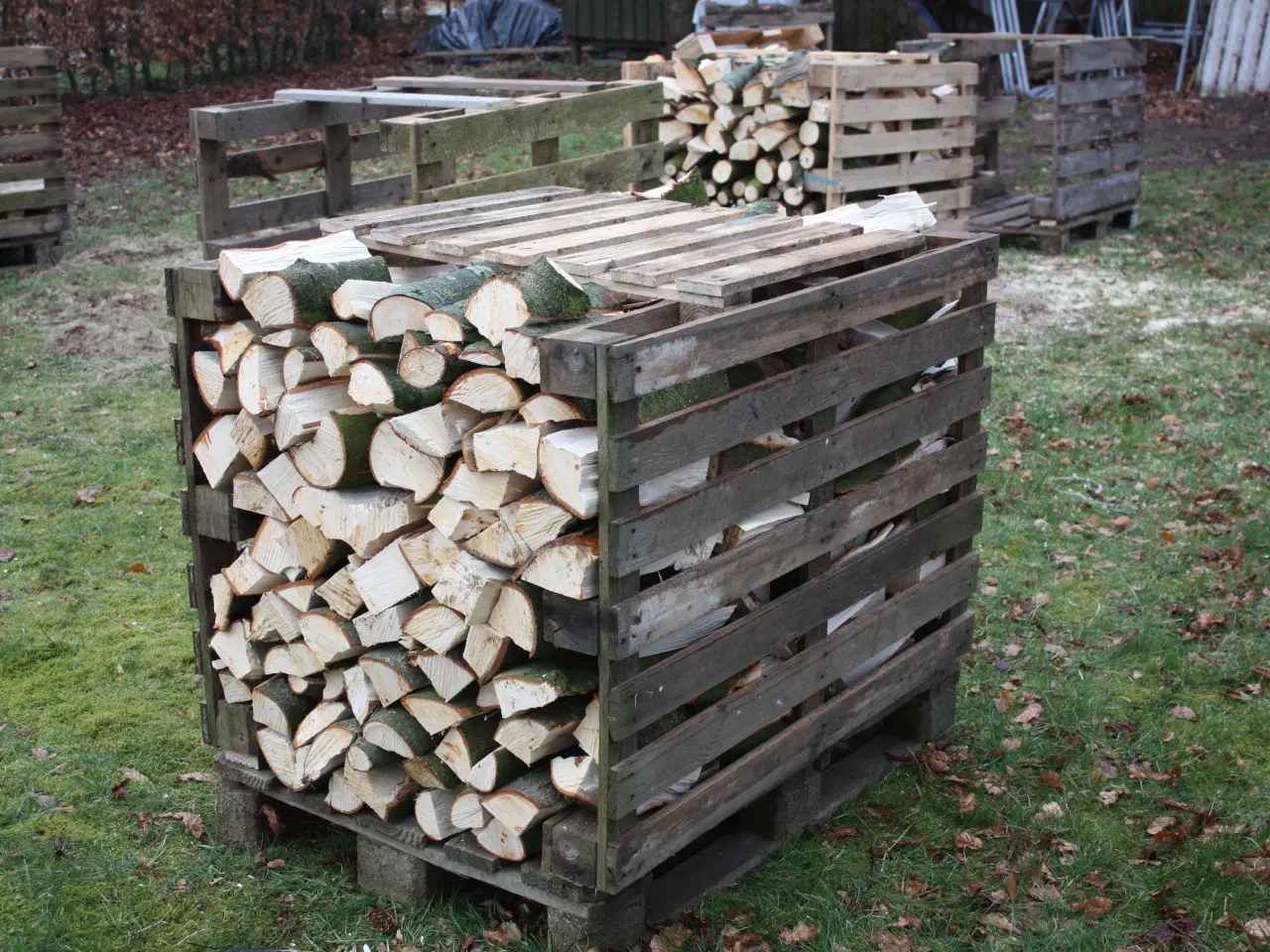 Billede 1 - Brænde