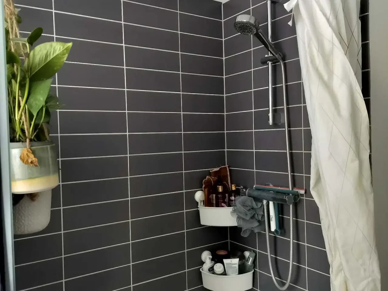 Billede 3 - 2 stk Boligcontainer med mellemgang / Tiny house 7