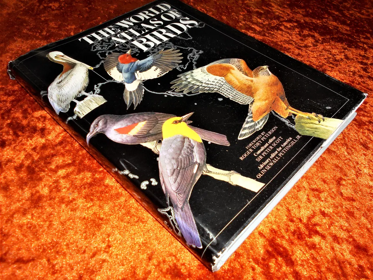 Billede 1 - The world atlas of birds, Peter Scott