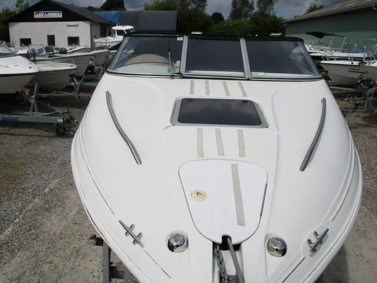 Billede 6 - Campion 565 SC Allante