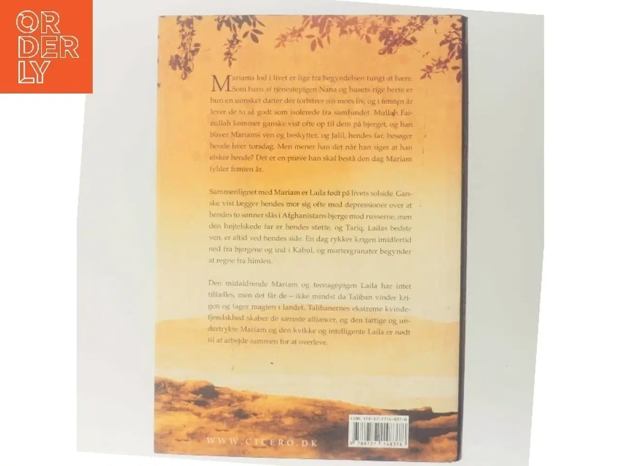 Billede 3 - Under en strålende sol af Khaled Hosseini (Bog)