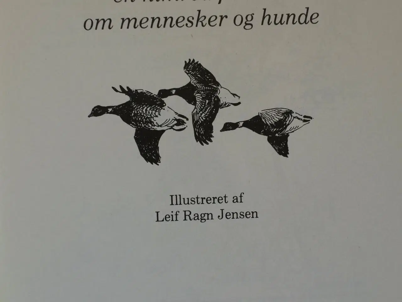 Billede 2 - jagtbreve - en nimrod fortæller om mennesker og hu