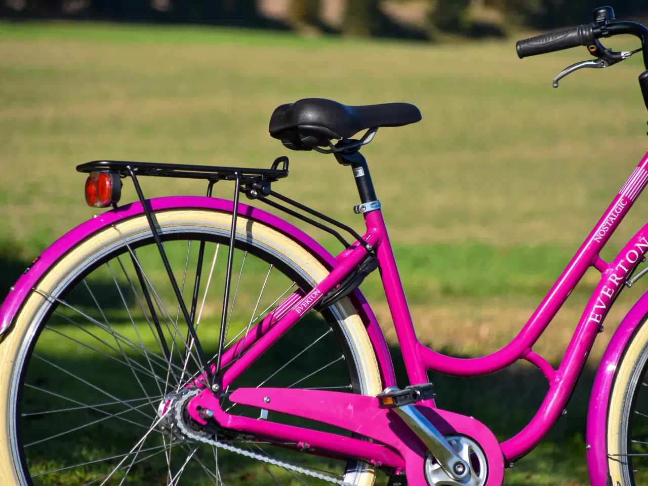 Billede 5 - Everton Nostalgic 7G 47CM