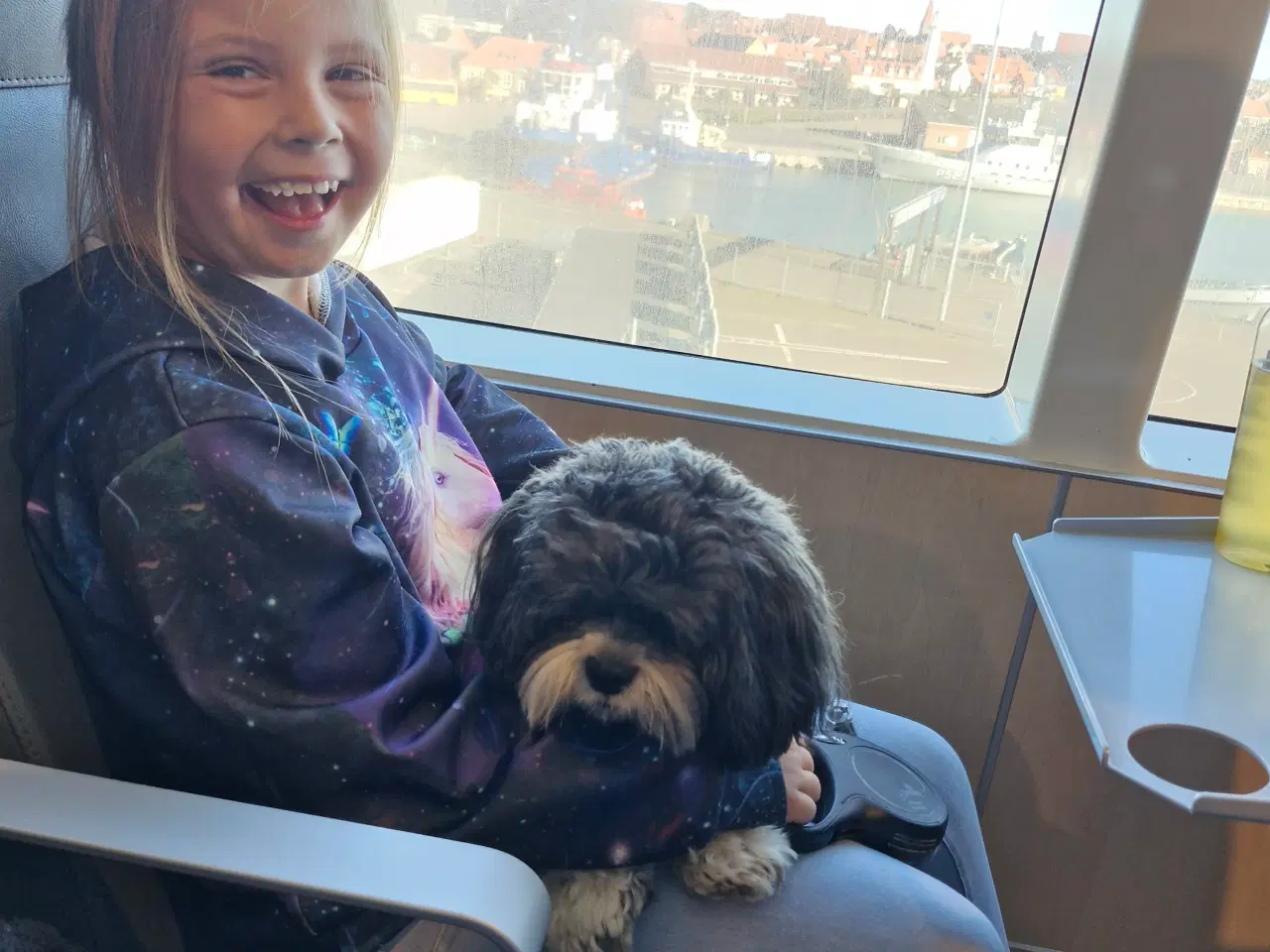 Billede 7 - Lhaso Apso tilbyder parring