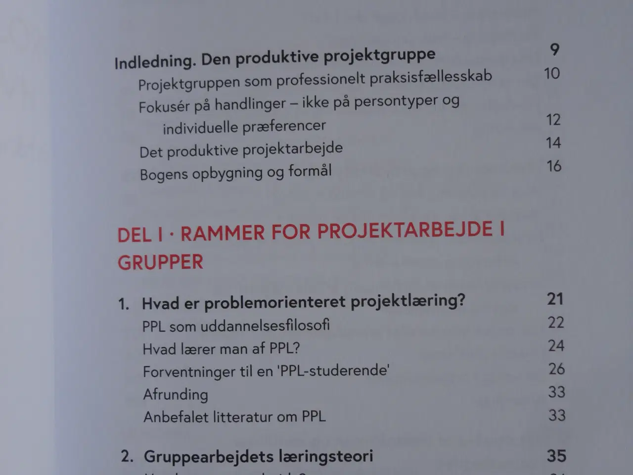 Billede 2 - Projektgruppen - hvordan gør vi ?