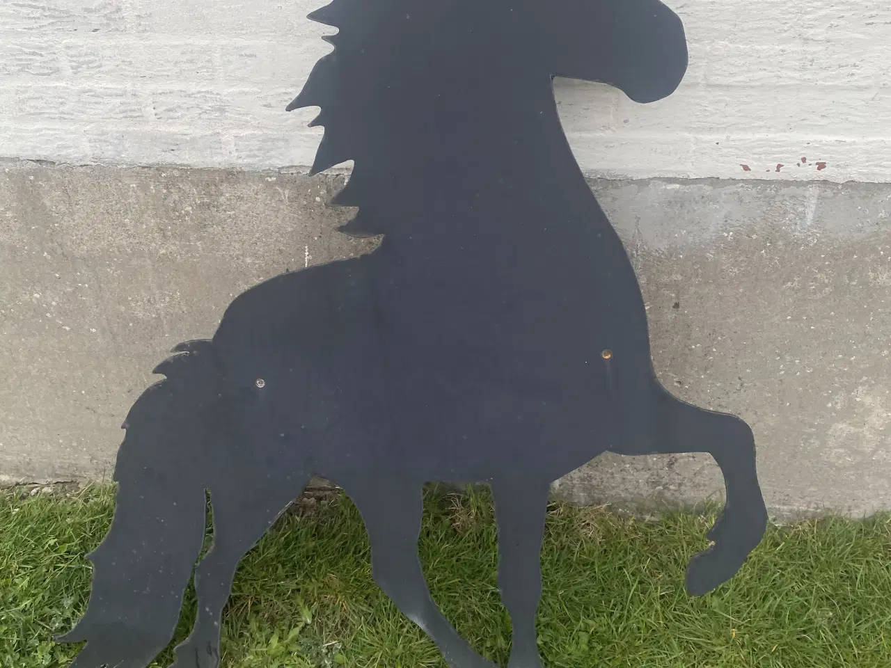 Billede 1 - Islandske heste 