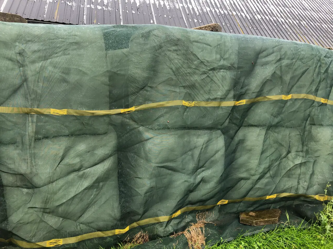 Billede 1 - Wrap små minibig af agergræs. 