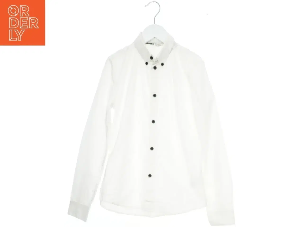 Billede 1 - Hvid skjorte med sorte knapper fra H&M (str. 146)