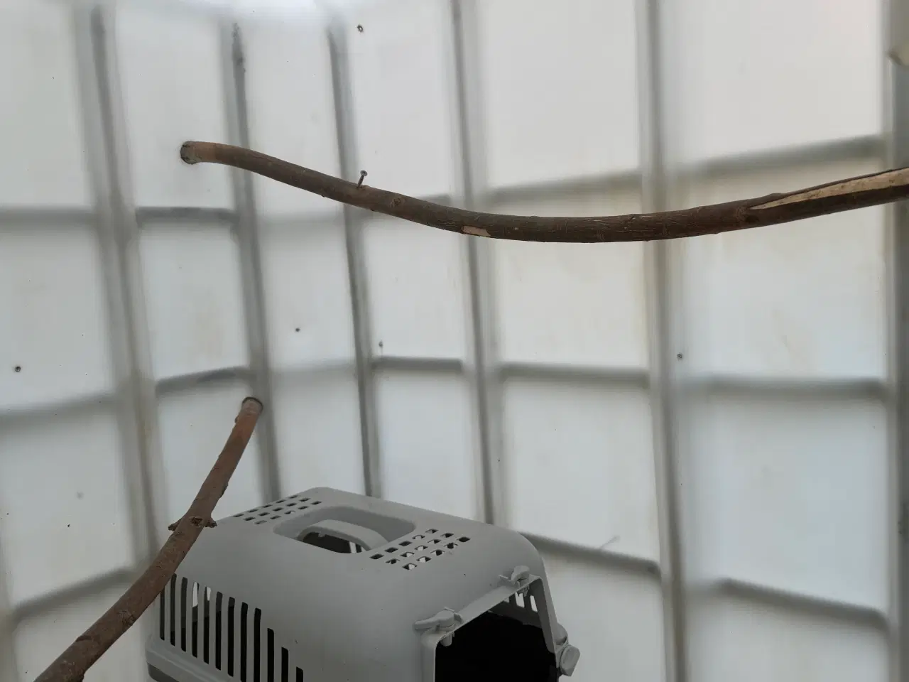 Billede 4 - Hønsehus af IBC Tank