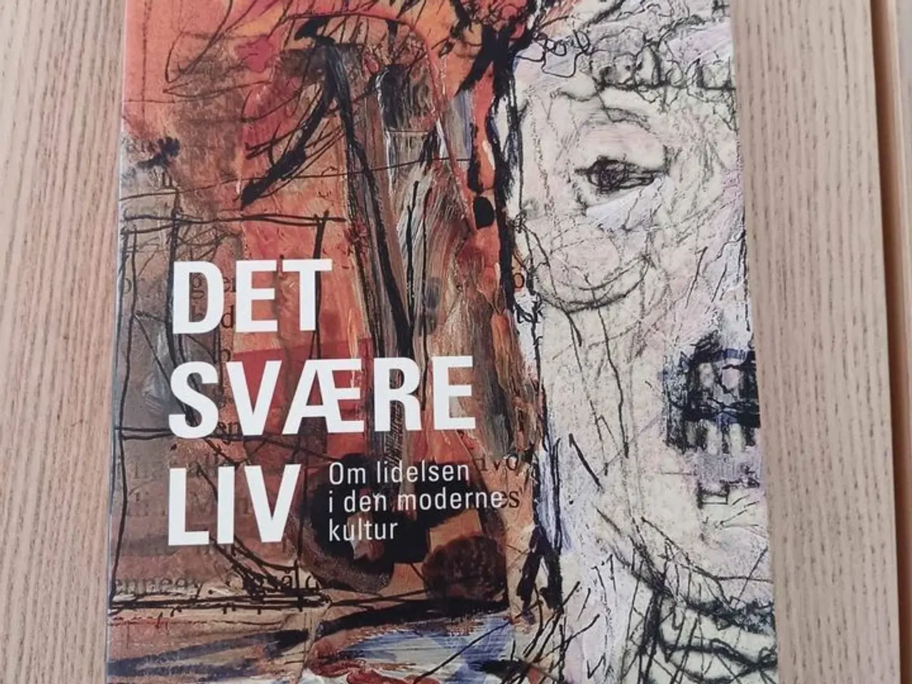 Billede 1 - Det svære liv - om lidelsen i den moderne kultur