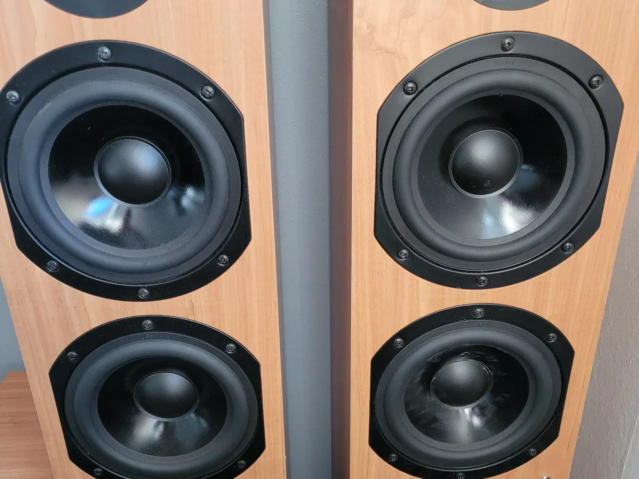 Billede 1 - Surround højttaler 