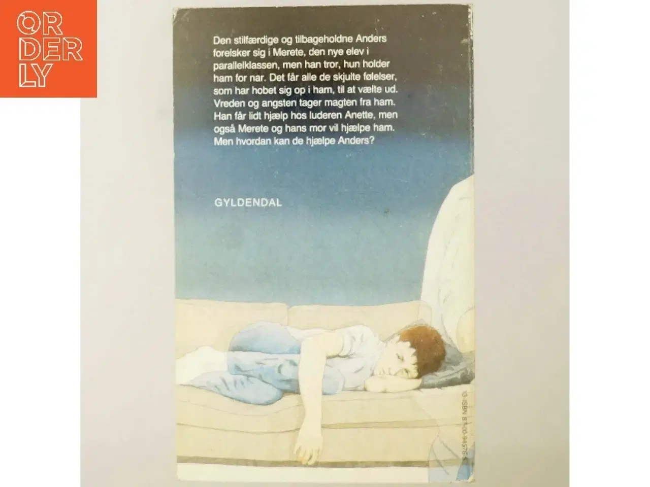 Billede 3 - Jens Smærup Sørensen: Hjælp til Anders