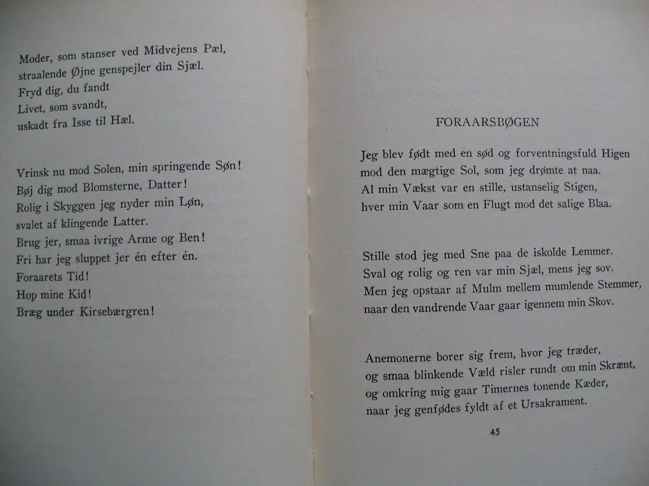 Billede 6 - Ludvig Holstein. Æbletid ? Digte. fra 1920