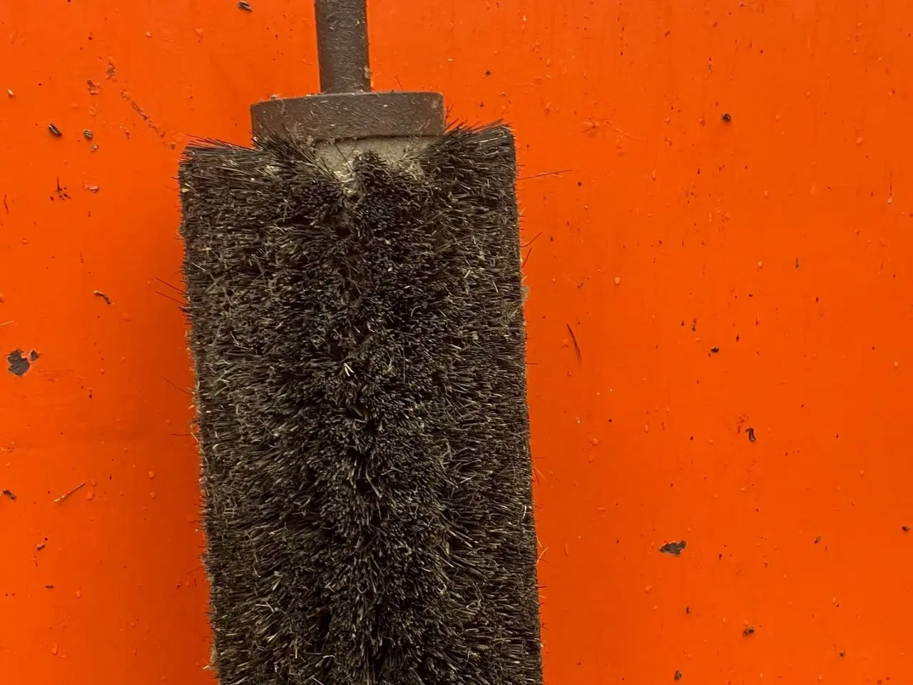 Billede 7 - - - - kartoffelrenser