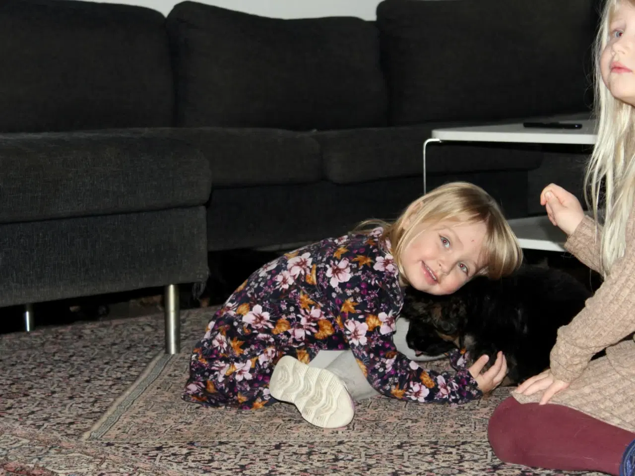 Billede 3 - Fynske julebamser! 